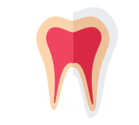 Tooth Icon